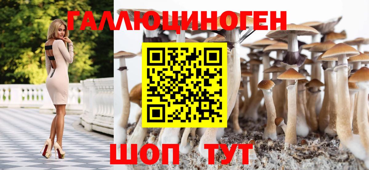 Галлюциногенные грибы MAGIC MUSHROOMS Усть-Джегута