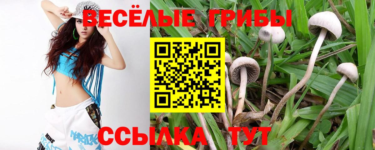 Псилоцибиновые грибы ЛСД  Вход с VPN  купить закладку  Усть-Джегута  Галлюциногенные грибы прущие грибы 